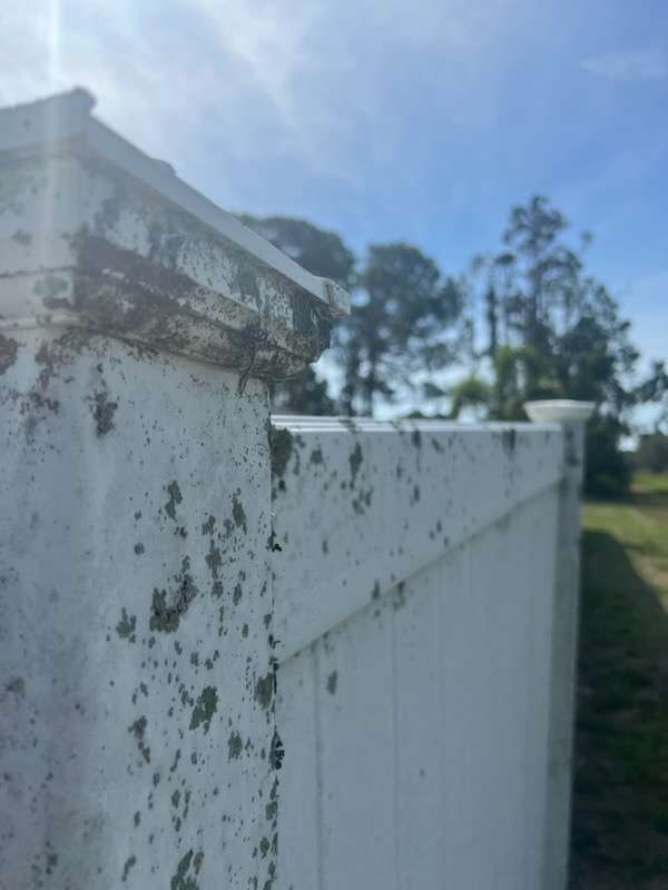 Fence Cleaning before...