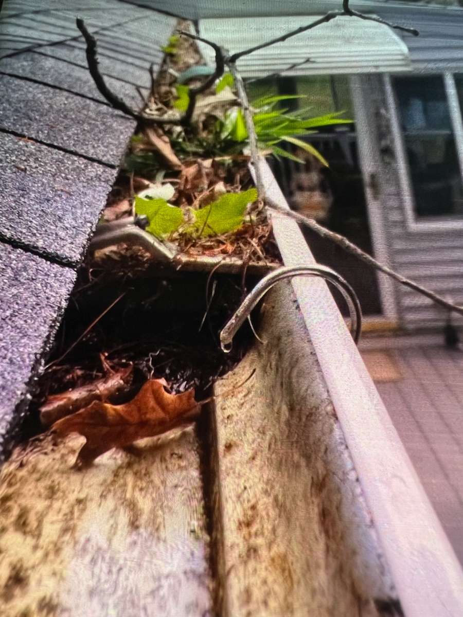 Gutter Cleaning before...
