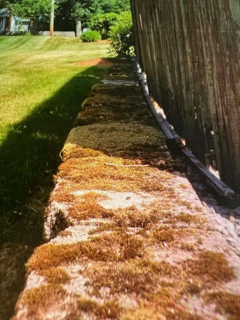Wall Cleaning before...